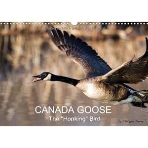 Parka Canadienne Goose